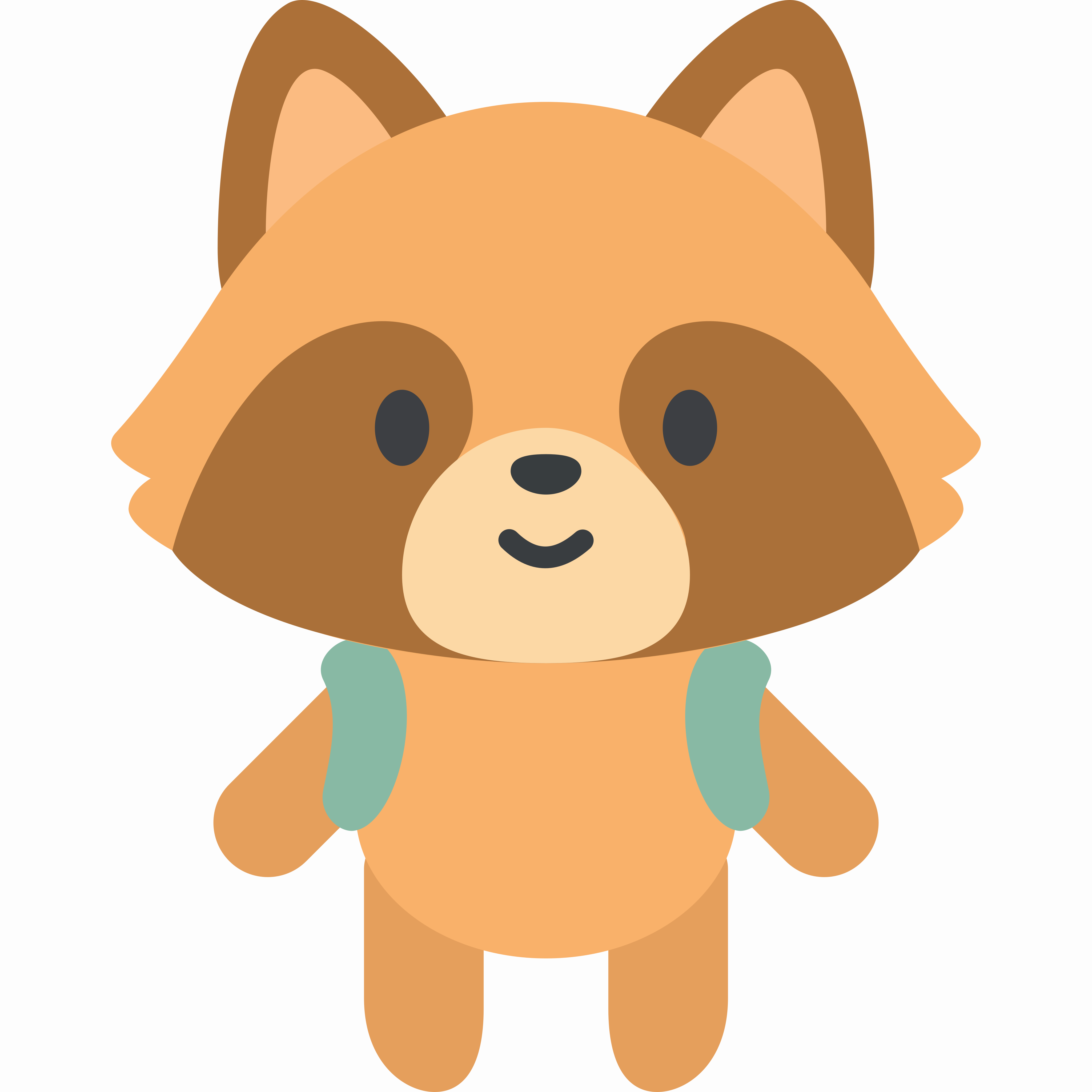raccoon mascot